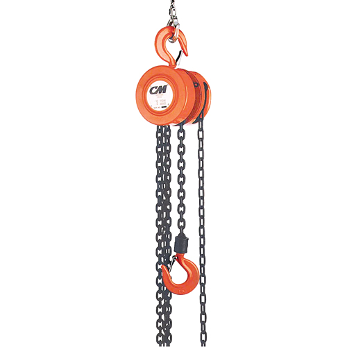 Chain Hoist, 20' Lift, 1000 lbs. (0.5 tons) Capacity, Steel Chain PB Rental Co. Ltd.