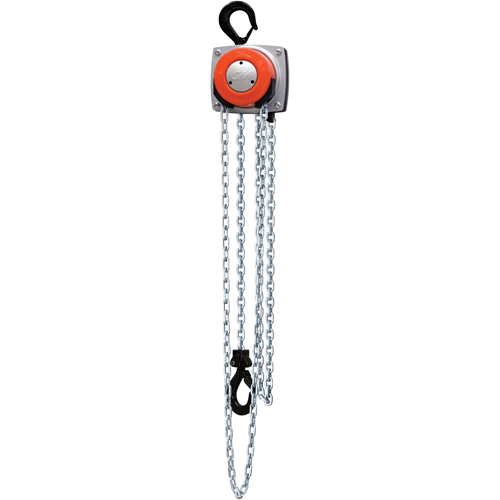 Hurricane 360° Chain Hoist, 10' Lift, 1000 lbs. (0.5 tons) Capacity, Steel Chain PB Rental Co. Ltd.