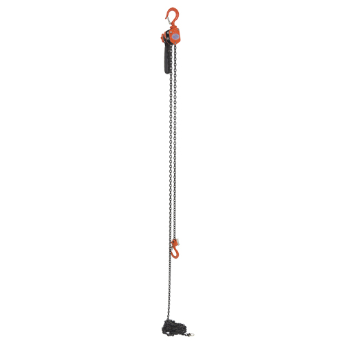 Mini Lever Hoist, 15' Lift, 500 lbs. (0.25 tons) Capacity, Steel Chain PB Rental Co. Ltd.