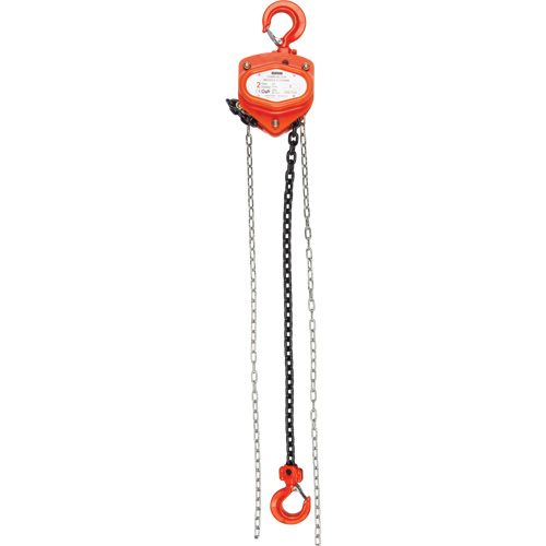 Chain Hoist, 10' Lift, 4000 lbs. (2 tons) Capacity, Alloy Steel Chain PB Rental Co. Ltd.