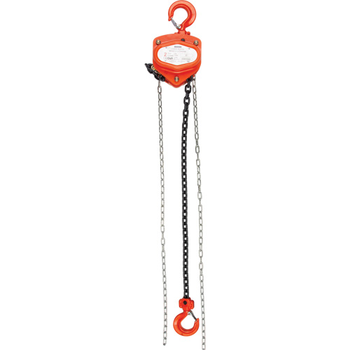 Chain Hoist, 20' Lift, 6000 lbs. (3 tons) Capacity, Alloy Steel Chain PB Rental Co. Ltd.