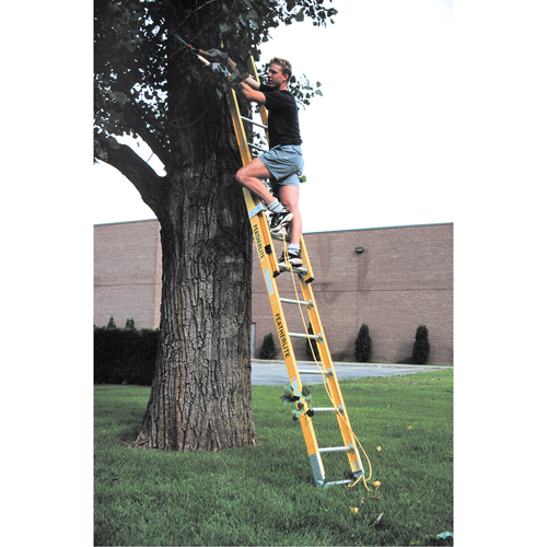 Industrial Heavy-Duty Extension Ladders (6200 Series), 375 lbs. Cap., 13' H, Grade 1AA PB Rental Co. Ltd.