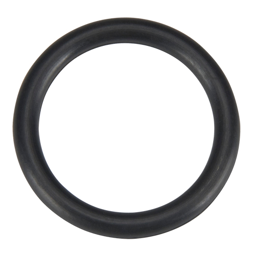 O Ring, Plain PB Rental Co. Ltd.