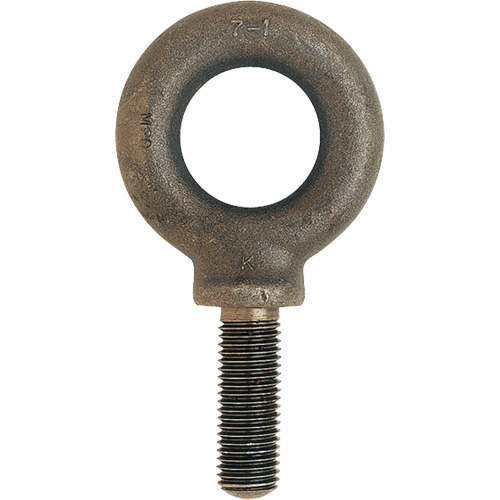 Boulon &agrave; œil m&eacute;trique, 51 mm dia, 70 mm lo, 11 400 lb (5,7 tonnes) capacit&eacute; PB Rental Co. Ltd.