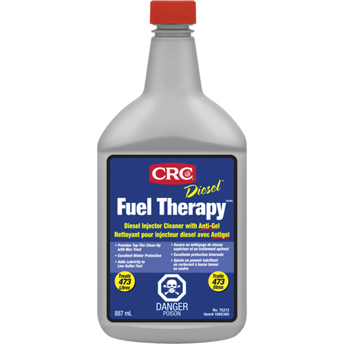 Nettoyant de syst&egrave;me d'injection diesel avec antigel - Diesel Fuel Therapy PB Rental Co. Ltd.