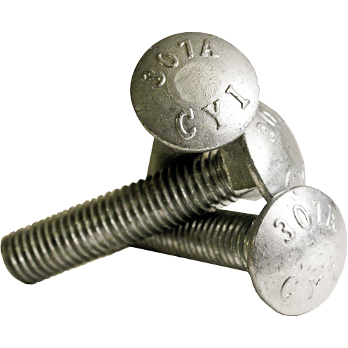 Carriage Bolt Full thread, 5/16" x 2-1/2" L, Galvanized, Coarse PB Rental Co. Ltd.