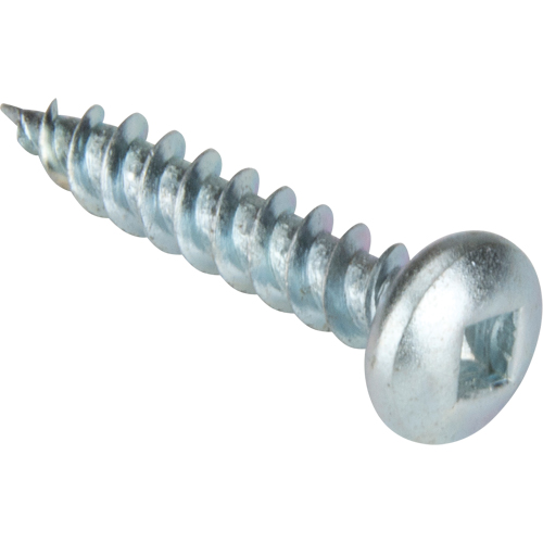 Tapping Screw Pan Head, #10 x 1-1/4" L, Zinc Plated PB Rental Co. Ltd.