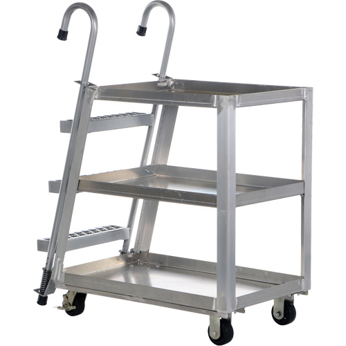 Stockpicker Truck, Aluminum, 21-7/8" W x 40" D, 3 Shelves, 660 lbs. Capacity PB Rental Co. Ltd.