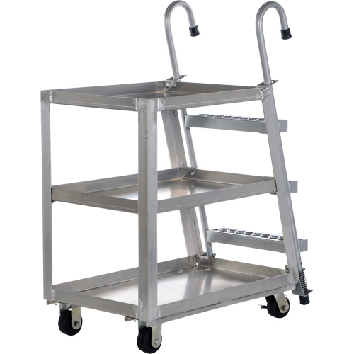Stockpicker Truck, Aluminum, 21-7/8" W x 40" D, 3 Shelves, 660 lbs. Capacity PB Rental Co. Ltd.