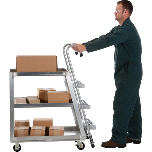 Stockpicker Truck, Aluminum, 21-7/8" W x 40" D, 3 Shelves, 660 lbs. Capacity PB Rental Co. Ltd.