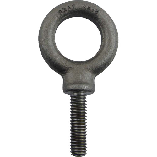 Boulon &agrave; oeil en acier alli&eacute;, 1" dia, 1-1/4" lo, 1480 lb (0,74 tonnes)/1480 lb capacit&eacute; PB Rental Co. Ltd.