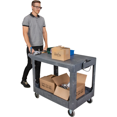 Flat-Shelf Utility Service Cart, 2 Tiers, 25-1/4" x 32-1/4" x 44", 550 lbs. Capacity PB Rental Co. Ltd.