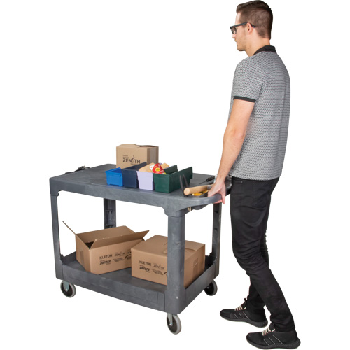 Flat-Shelf Utility Service Cart, 2 Tiers, 25-1/4" x 32-1/4" x 44", 550 lbs. Capacity PB Rental Co. Ltd.