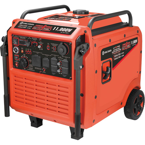 Tri-Fuel Inverter Generator PB Rental Co. Ltd.