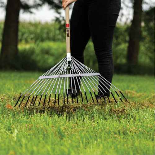Lawn Rake, 24 Tines, Hardwood Handle, Steel Blade PB Rental Co. Ltd.
