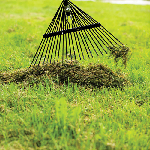 Lawn Rake, 24 Tines, Hardwood Handle, Steel Blade PB Rental Co. Ltd.