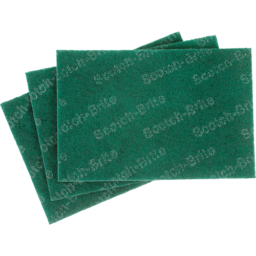 Tampons manuels Scotch-Brite, 9" lo x 6" la PB Rental Co. Ltd.