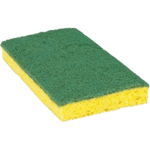 Scotch-Brite Medium Duty Scrub Sponge, Scrubbing, 3-3/5" W x 6-1/10" L PB Rental Co. Ltd.
