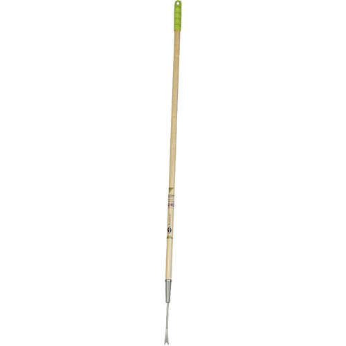 Dandelion Weeder PB Rental Co. Ltd.