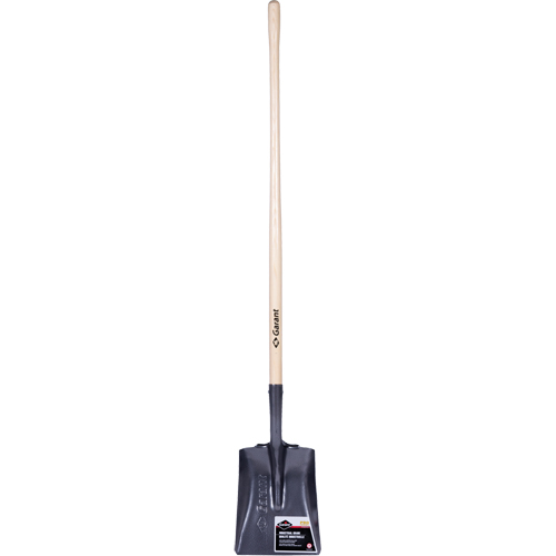 Pelle carr&eacute;e  Pro, Bois, Lame Acier durci, Manche en Droit, Longueur 48" PB Rental Co. Ltd.