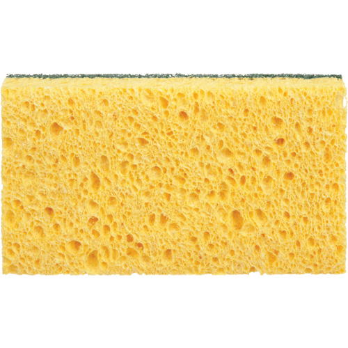 Utility Sponges, Cellulose, 6" W x 3-1/2" L PB Rental Co. Ltd.