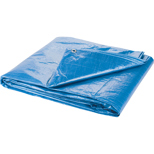 Tarp, Standard Duty, Blue, 7' x 5' x 4 mils PB Rental Co. Ltd.