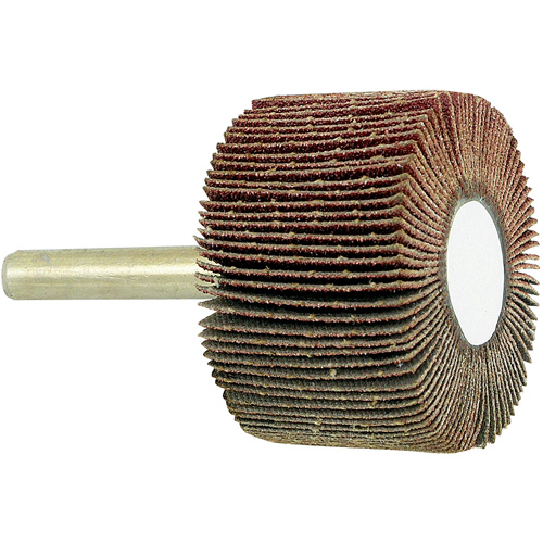 Disque &agrave; lamelles mont&eacute; sur mandrin, Grain 80, 1-1/2" x 1" x 1/4" PB Rental Co. Ltd.