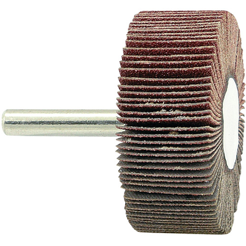 Disque &agrave; lamelles mont&eacute; sur mandrin, Grain 80, 2" x 3/4" x 1/4" PB Rental Co. Ltd.