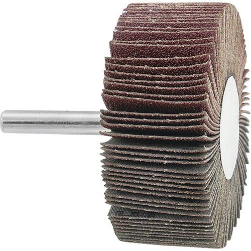 Mounted Flapwheel, 120 Grit, 2-1/2" x 1" x 1/4" PB Rental Co. Ltd.