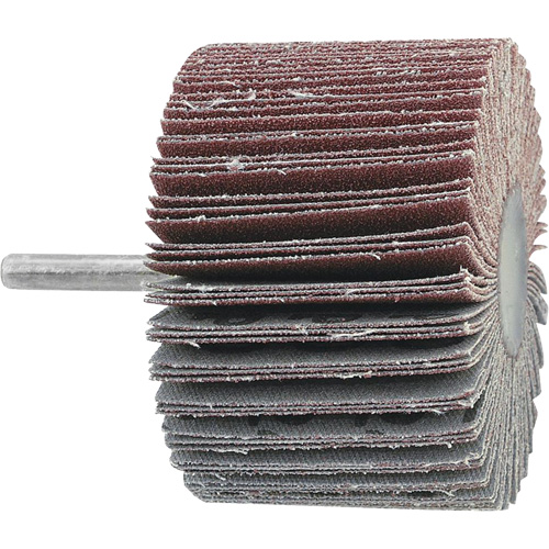 Disque &agrave; lamelles mont&eacute;, Grain 60, 3" x 1" x 1/4" PB Rental Co. Ltd.