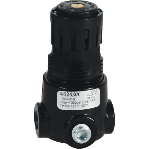 Wilkerson Miniature Regulator R03, 1/8" NPT, 300 psi Max. PSI, Standard PB Rental Co. Ltd.