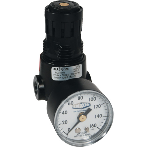 R&eacute;gulateur miniature R04 Wilkerson, 1/4" NPT, PSI max. de 300 psi, Standard PB Rental Co. Ltd.