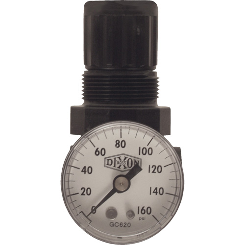 Series 1 Miniature Regulator, 1/8" NPT, 100 psi Max. PSI, Standard PB Rental Co. Ltd.