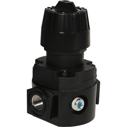 Wilkerson Compact Regulator R16, 1/4" NPT, 300 psi Max. PSI, Standard PB Rental Co. Ltd.