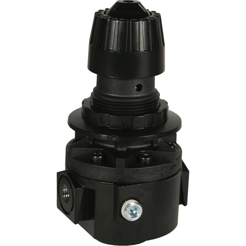 Wilkerson Regulator R26, 1/2" NPT, 300 psi Max. PSI, Standard PB Rental Co. Ltd.