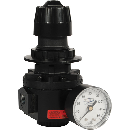 Wilkerson Regulator R26, 1/2" NPT, 300 psi Max. PSI, Standard PB Rental Co. Ltd.