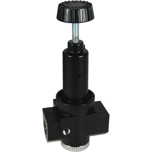 Wilkerson High Flow Regulator R30, 3/4" NPT, 300 psi Max. PSI, Standard PB Rental Co. Ltd.