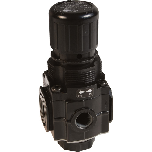 Series 1 Manifold Regulator, 1/4" NPT, 150 PSI Max. PSI, Standard PB Rental Co. Ltd.