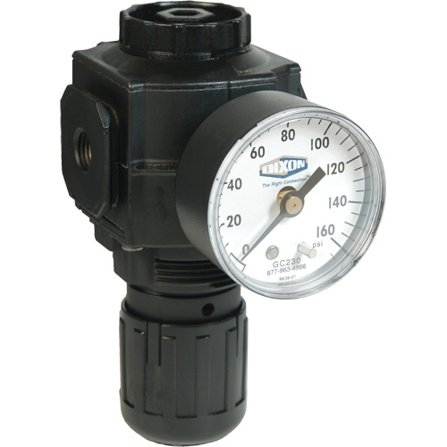 Series 1 Compact Regulator, 1/2" NPT, 150 PSI Max. PSI, Standard PB Rental Co. Ltd.