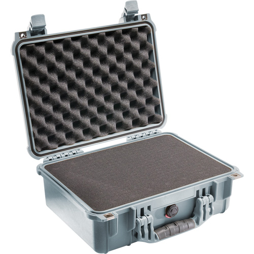 Protector Case PB Rental Co. Ltd.