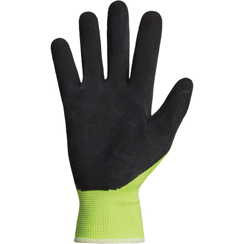 Dexterity&reg; Coated Gloves, 10, Latex Coating, 13 Gauge, Polyester Shell PB Rental Co. Ltd.