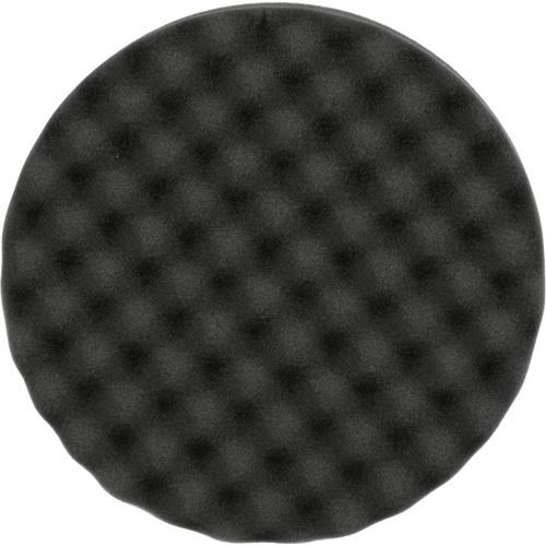 Polishing Pad, 8" dia., Foam PB Rental Co. Ltd.
