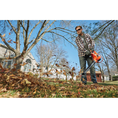 Souffleur/aspirateur/broyeur de feuilles 3-en-1 VacPack, Vitesse d'air 250 mi/h, &eacute;lectrique PB Rental Co. Ltd.