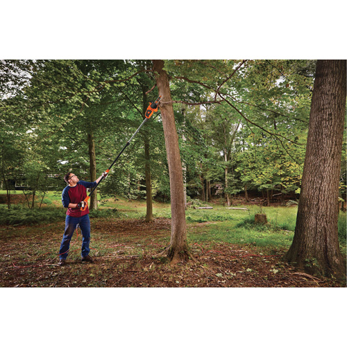 2-in-1 Pole Chainsaw PB Rental Co. Ltd.