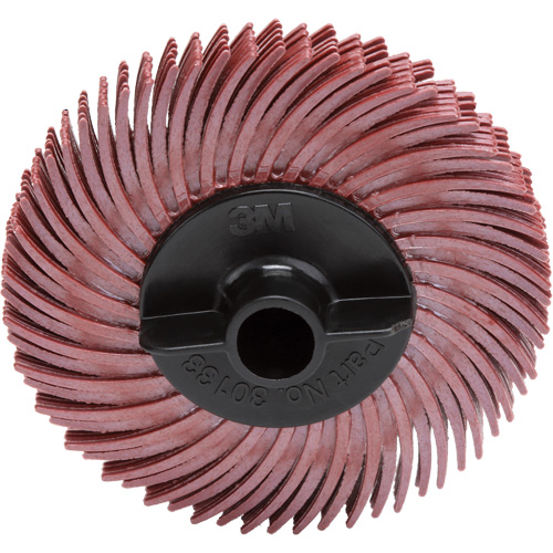 Scotch-Brite Radial Bristle Disc, RB-ZB, Ceramic, 220 Grit, 2" Dia. PB Rental Co. Ltd.