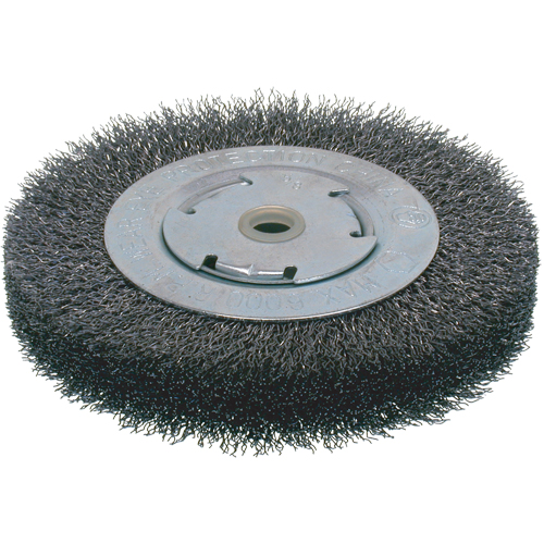 Brosses &eacute;conomiques &agrave; fils cr&ecirc;p&eacute;s - Face large, 8" dia., Fils 0.014, Arbre 2" PB Rental Co. Ltd.