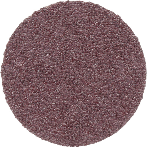 PSA Cloth Disc 348D, 20" Dia., 60 Grit, Aluminum Oxide PB Rental Co. Ltd.