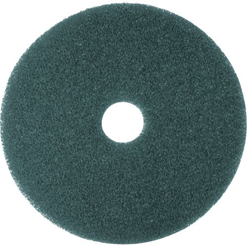 Cleaner Pad, 13", Scrubbing, Blue PB Rental Co. Ltd.