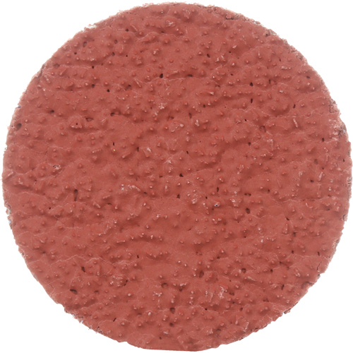 Disque &agrave; d&eacute;ligner durable II Roloc Cubitron, 2" dia., Grain 36+, C&eacute;ramique PB Rental Co. Ltd.