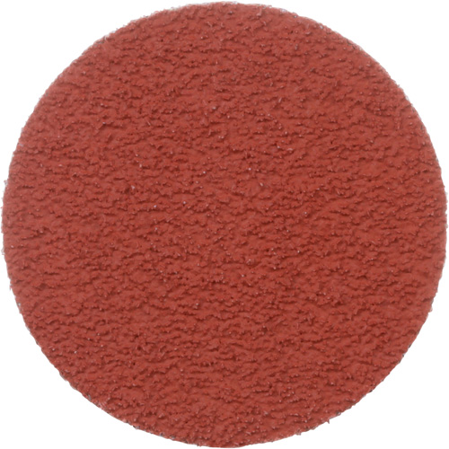 Disque &agrave; d&eacute;ligner durable II Roloc Cubitron, 2" dia., Grain 60+, C&eacute;ramique PB Rental Co. Ltd.